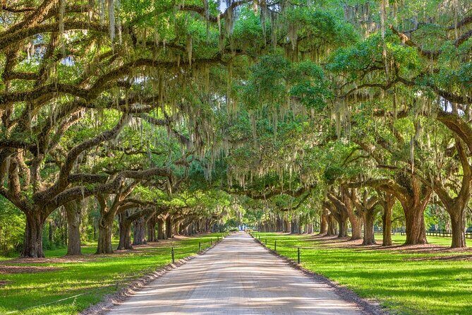 Boone Hall Plantation Day Tour with Transportation - Live Gullah Culture Presentation: A Human Story You Should Expect