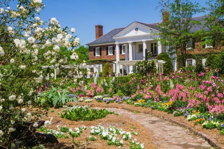 Charleston: Boone Hall Plantation Tour - The Avenue of Oaks walk you’ll want to slow down for