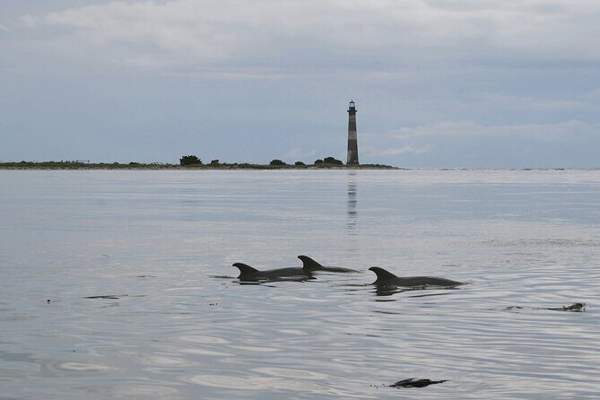 Charleston Eco Boat Cruise with stop at Morris Island Lighthouse - The tidal creeks ride: how the boat time shapes what you see