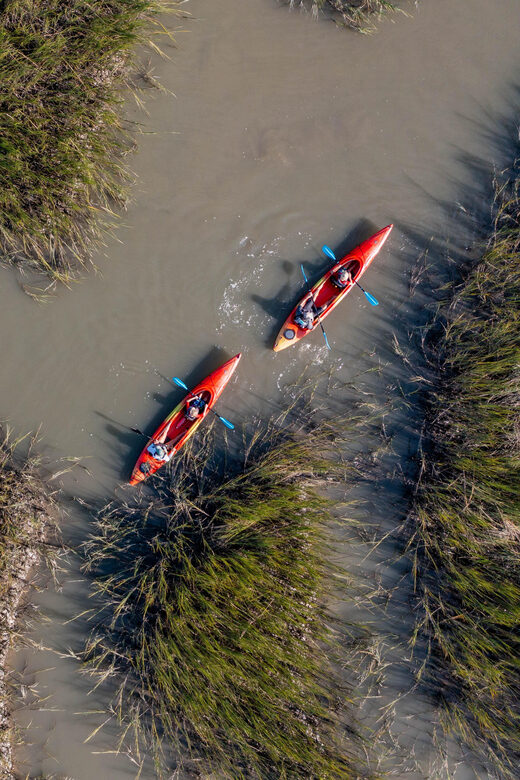 Charleston: Folly Beach Afternoon Kayak Dolphin Safari - Learning paddle strokes without getting overwhelmed