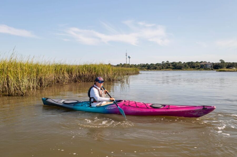 Charleston: Folly Beach Afternoon Kayak Dolphin Safari - Chasing bottlenose dolphins the smart way