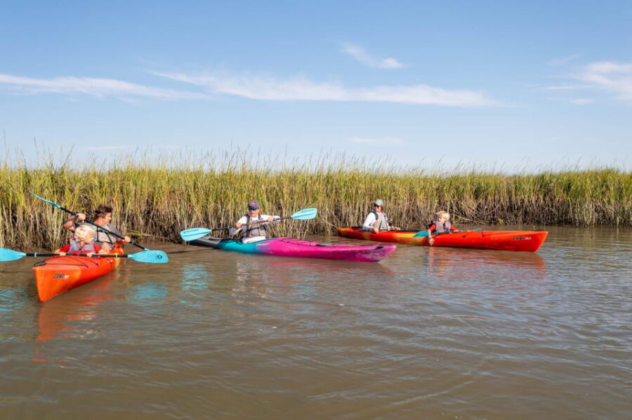 Charleston: Folly Beach Afternoon Kayak Dolphin Safari - Price and value: is $55 fair for a dolphin safari lesson?