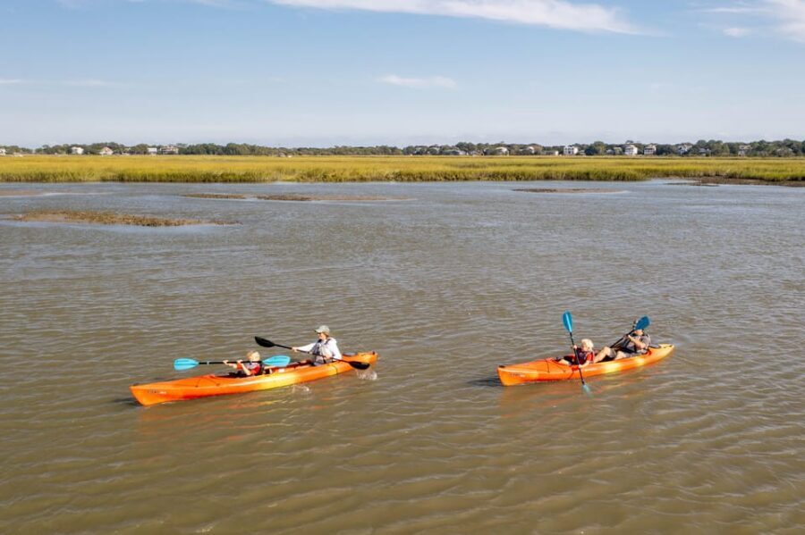 Charleston: Folly Beach Afternoon Kayak Dolphin Safari - A tight, friendly 2-hour plan on the Folly River