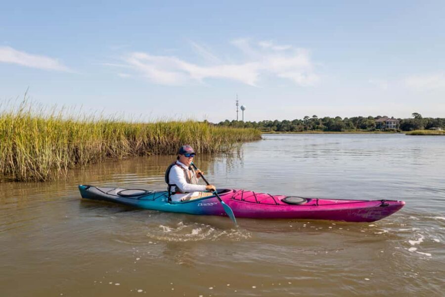 Charleston: Folly Beach Kayak Dolphin Safari - Quick Takeaways