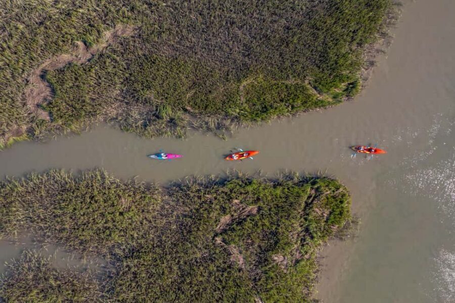 Charleston: Folly Beach Kayak Dolphin Safari - Who Should Book This Dolphin Kayak Safari (and Who Should Skip)
