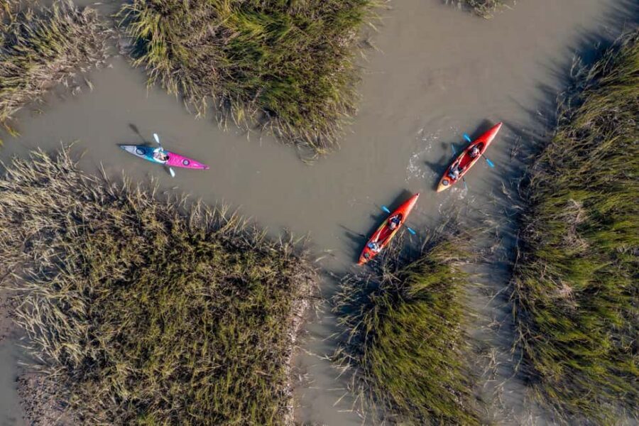 Charleston: Folly Beach Kayak Dolphin Safari - Why the Folly River Dolphin Safari Feels Different Than a Tour Hunt
