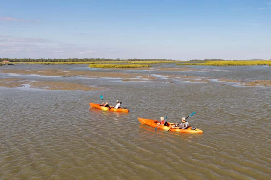 Charleston: Folly Beach Kayak Dolphin Safari - Gear and Instructor Support: What’s Provided and What You Control