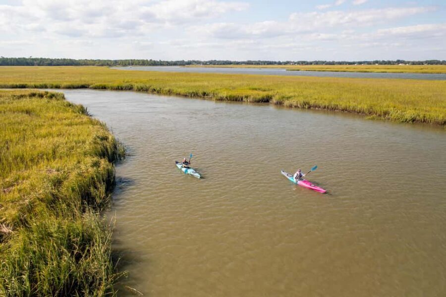 Charleston: Folly Beach Kayak Dolphin Safari - Timing: Morning, Afternoon, or Sunset
