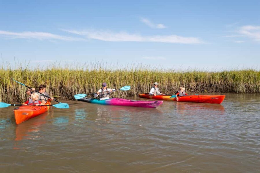 Charleston: Folly Beach Kayak Dolphin Safari - Your Intro Kayak Lesson on Flatwater (What You’ll Actually Learn)