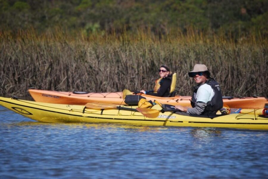 Charleston: Guided 2hr. Kayak Tour with a Tandem or Single - What you’ll actually see: birds, oyster beds, barrier islands, and dolphins