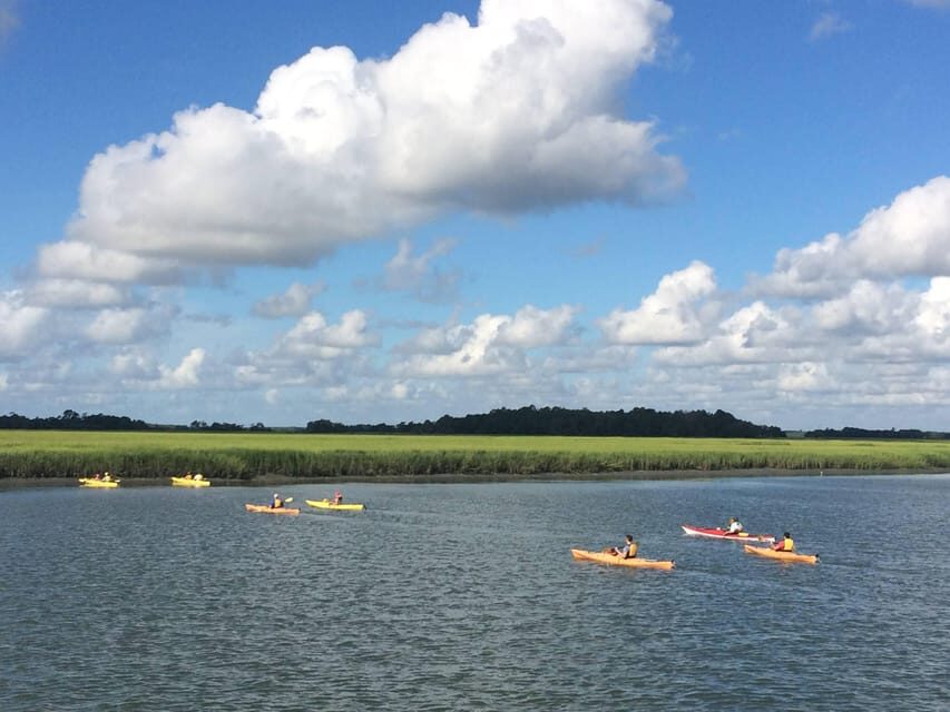 Charleston: Guided 2hr. Kayak Tour with a Tandem or Single - The guide’s job: making the paddle feel easy and fun