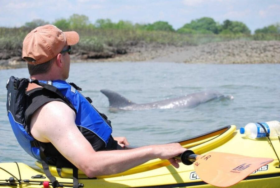 Charleston: Guided 2hr. Kayak Tour with a Tandem or Single - Price and value: is $50 per person fair for 2 hours?