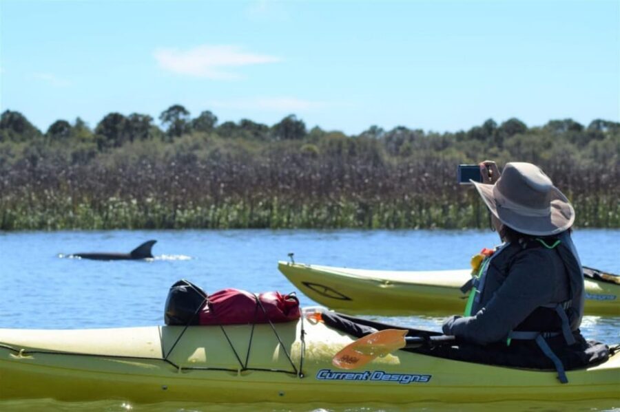 Charleston: Guided 2hr. Kayak Tour with a Tandem or Single - Single vs tandem kayaks: which setup fits your group