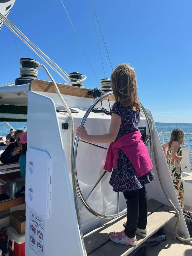 Charleston Harbor Daytime Sightseeing Cruise with Music - Dolphin chances: fun when it happens, fine if it doesn’t