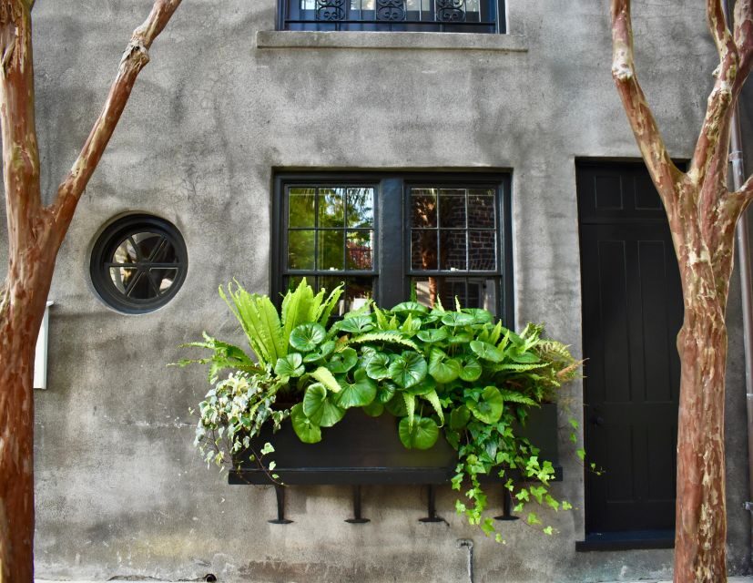 Charleston: Hidden Alleys and Historic Sites Walking Tour - The guide’s role: founders and origins you can picture