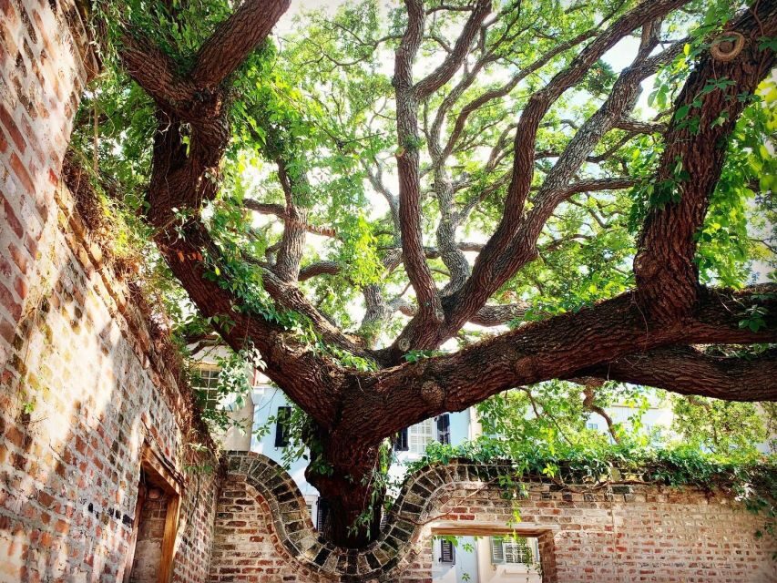 Charleston: Hidden Alleys and Historic Sites Walking Tour - Rainbow Row and the photo pause you’ll use