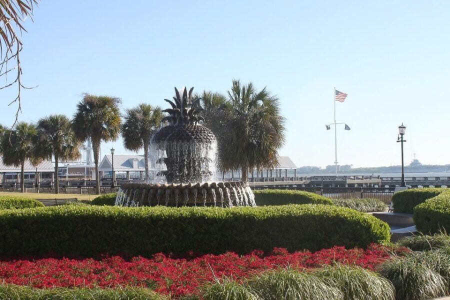 Charleston: Historic City Tour and Harbor Cruise - Who This Tour Suits Best (and Who Might Prefer Something Else)