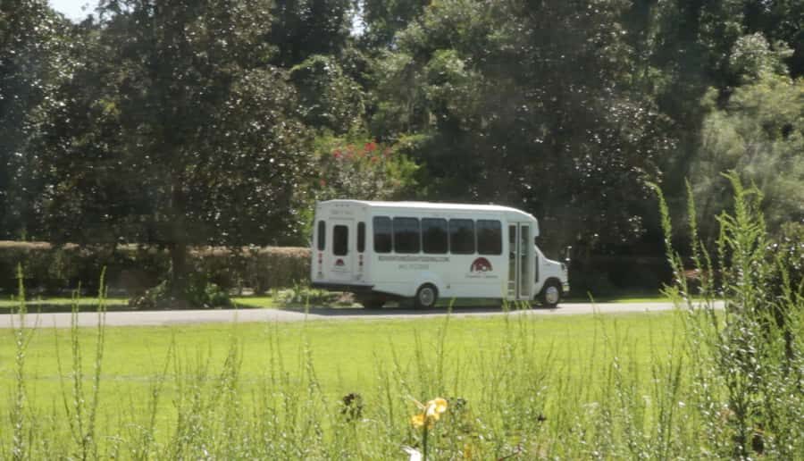 Charleston: Magnolia Plantation with Transport and City Tour - Key things that make this tour worth your time