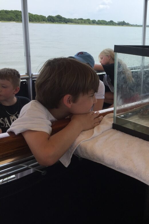 Charleston: Morris Island Nature Boat Tour with Naturalist - What birds you should expect to see (and how to spot them)