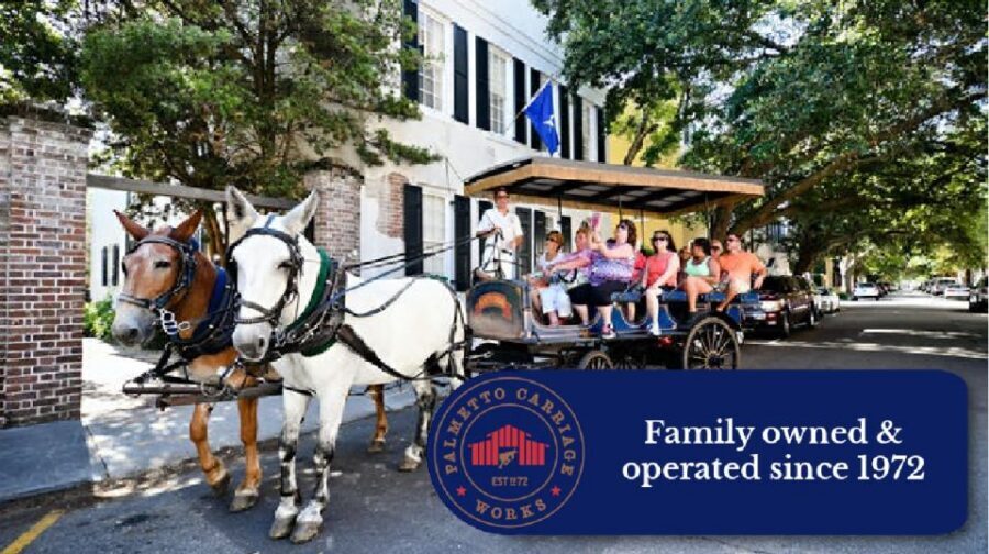 Charleston, SC: Private Daytime Horse-Drawn Carriage Ride - Who should book this private Charleston carriage ride