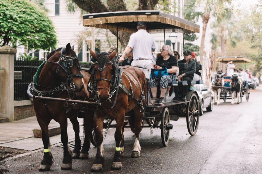 Charleston:Evening Haunted History Horse-Drawn Carriage Tour - Finding the Big Red Barn on Pinckney Street (And What to Expect When You Arrive)