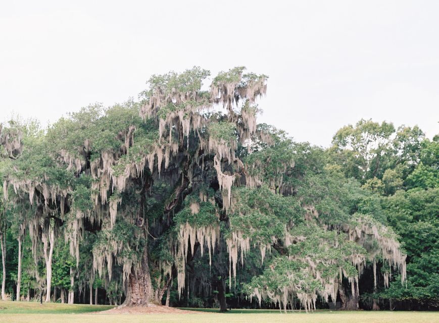 Drayton Hall: Interpreter Guided Tour, Charleston, SC - Drayton Hall’s Palladian Story (and Why You’ll Care)