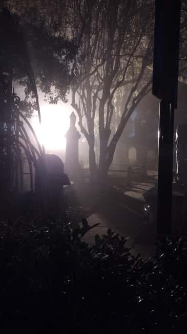 Ghost Tour - Charleston Dark History & Ghost Tour With Adam - Who Should Book This Charleston Ghost Tour