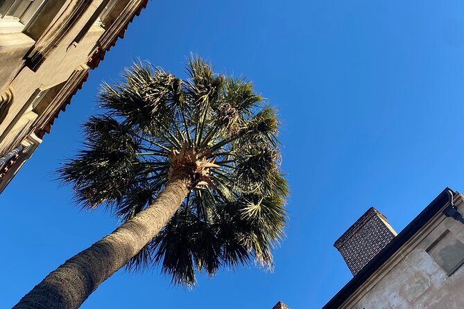 Jewish History Private Walking Tour of Charleston - Dock Street Theater and the Sasportas Tenements