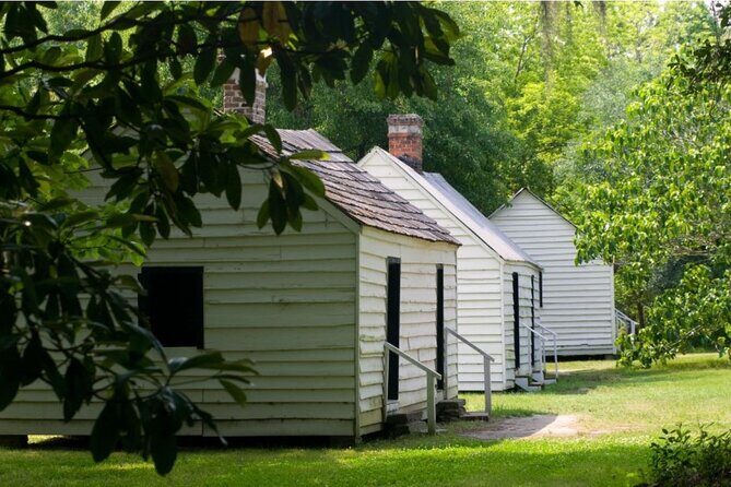 Magnolia Plantation Day Tour with Transportation - Nature Train vs Wildlife Boat: pick your favorite kind of wildlife watching