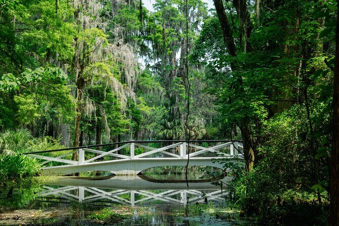 Magnolia Plantation Tour with transportation PLUS City Bus Tour - Why This Combo Works in Charleston