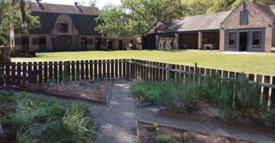 Middleton Place Plantation Tour - Key highlights to know before you go