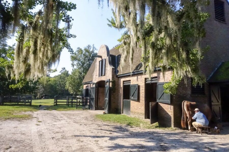 Middleton Place Plantation Tour - What makes the guiding experience stand out