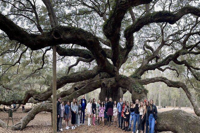 Tea Plantation and Winery Tour in Charleston - Key things to know before you go