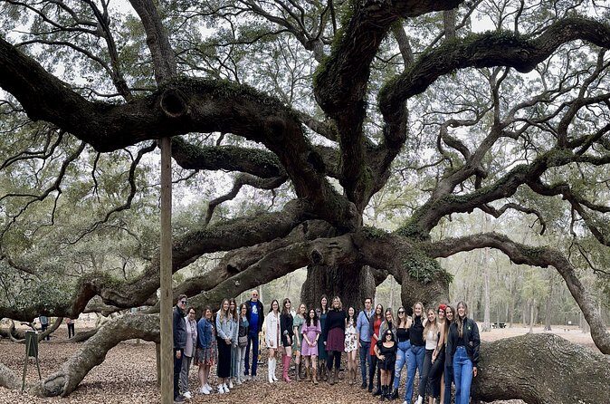 Tea Plantation and Winery Tour in Charleston - Who this tour suits (and who should choose something else)
